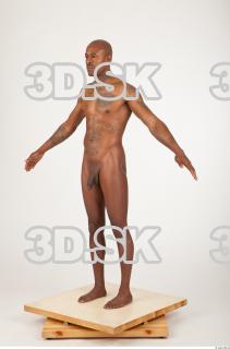 Body texture of Virgil 0047